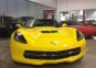 Auta - Chevrolet Corvette Stingray 2LT (2014)